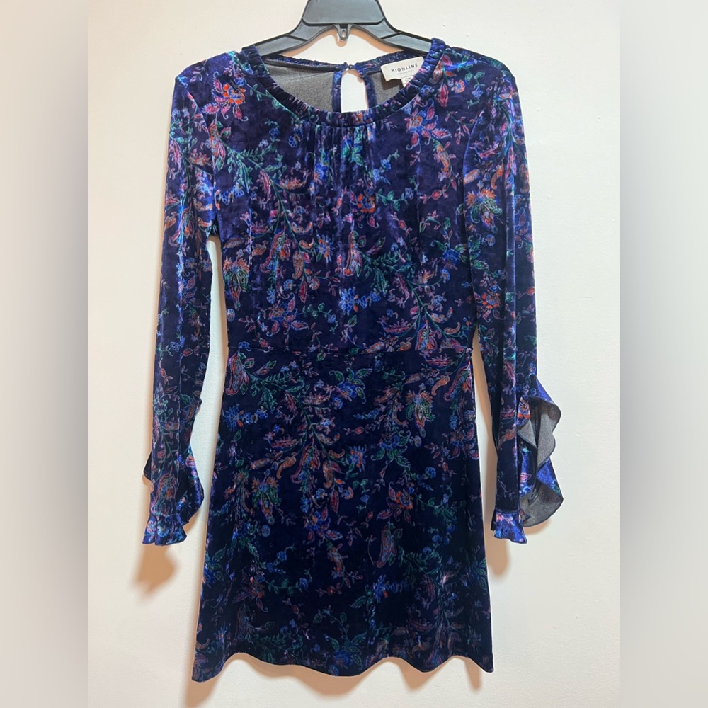 Medium Highline Collective long sleeve, velvet, purple flower dress